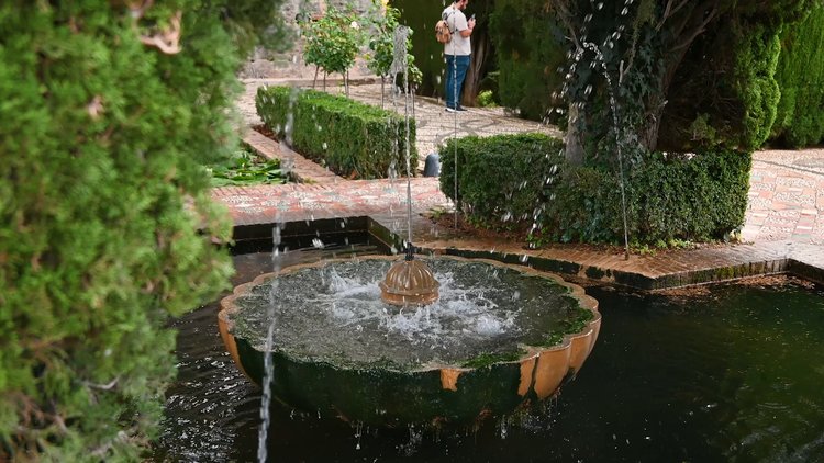 Alhambra: Visita con Audioguía Física