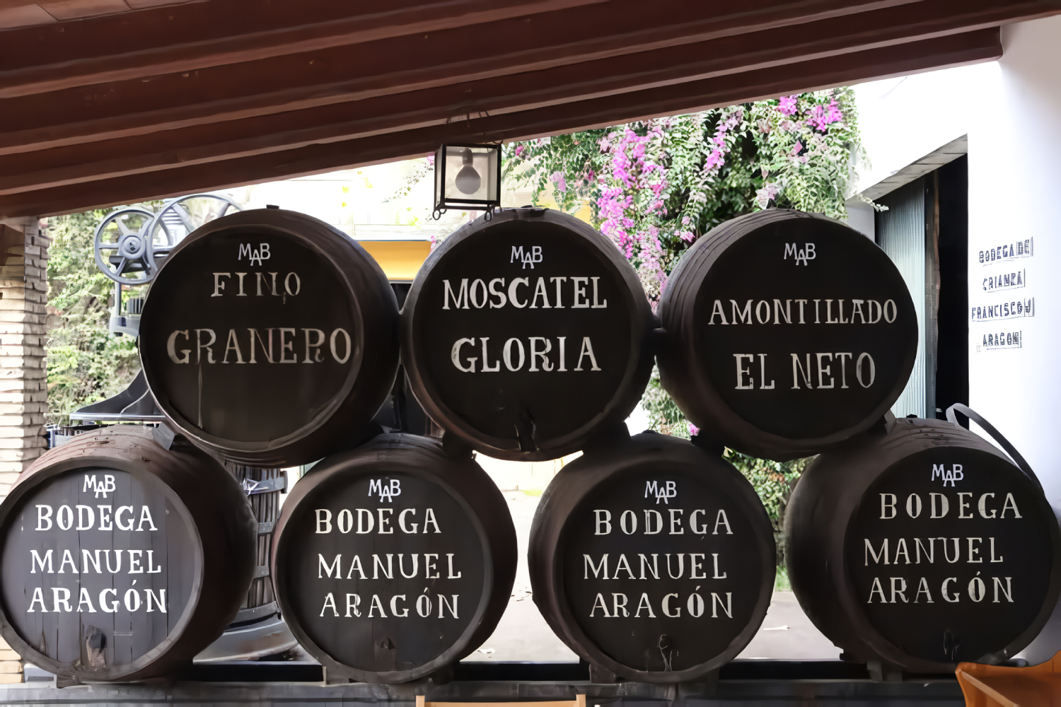 Visit to a winery + Wine tasting in Cádiz