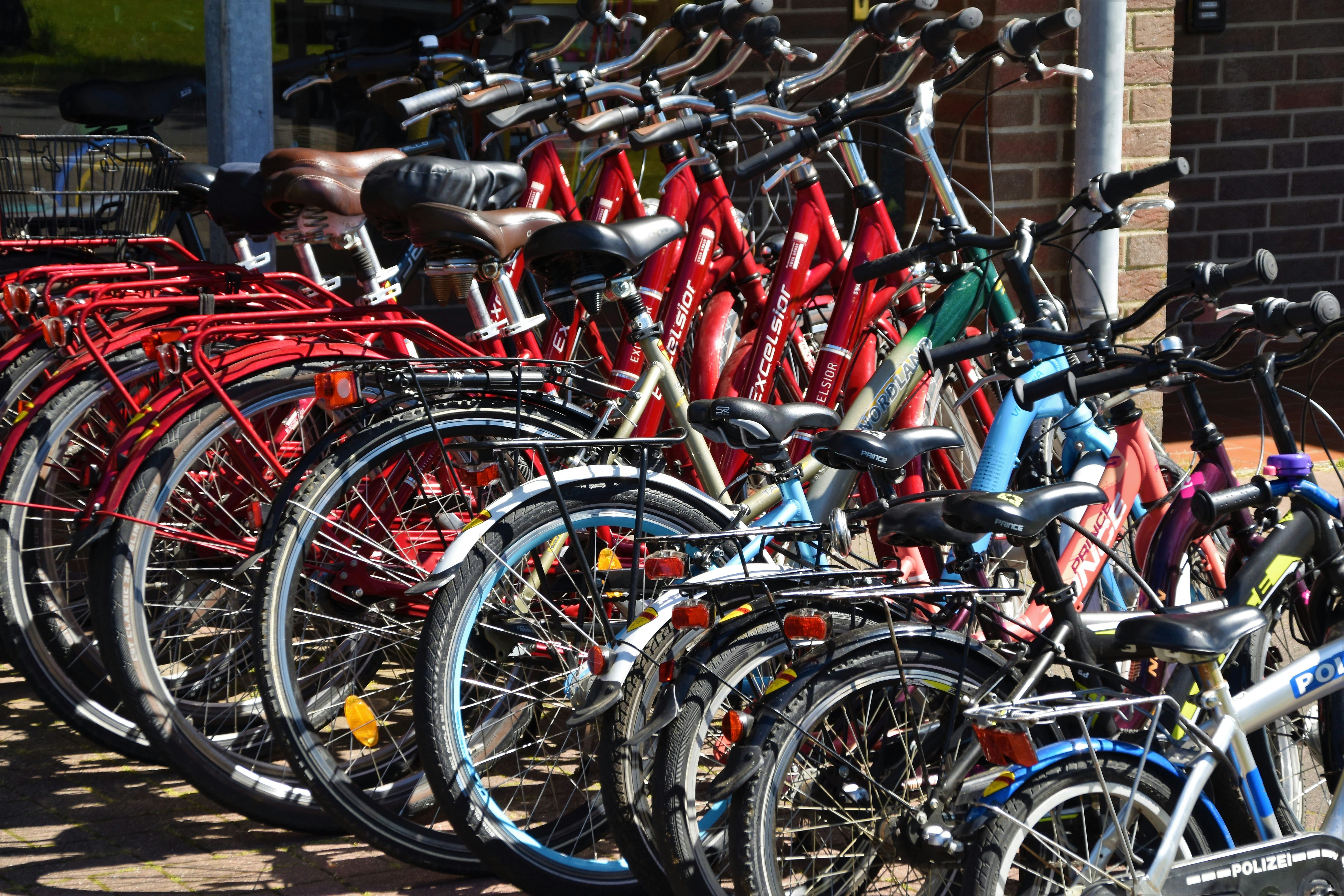 Bicycle Tour in the Deer Park