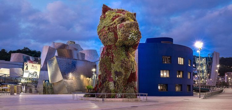 Museo Guggenheim de Bilbao: Entrada Completa