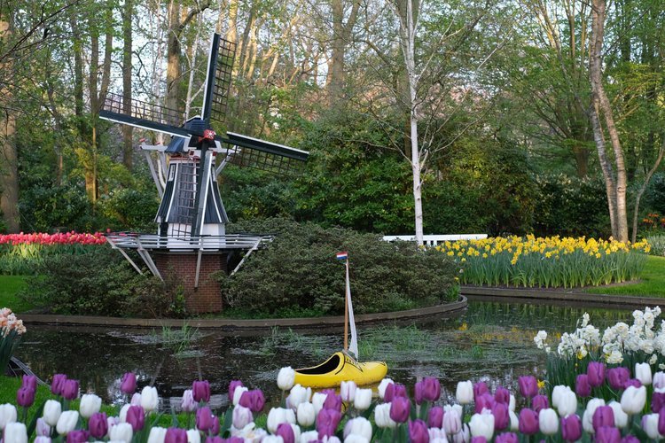 Keukenhof Tour from Amsterdam