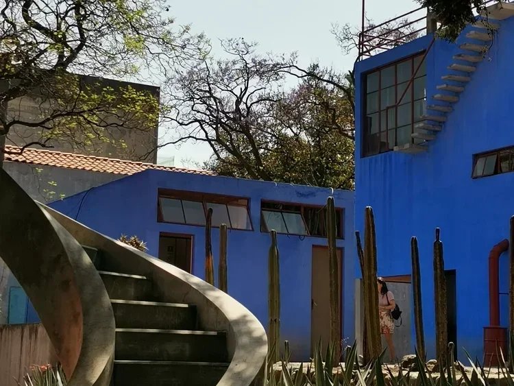 Tour por Xochimilco, Coyoacán y Museo Frida Kahlo