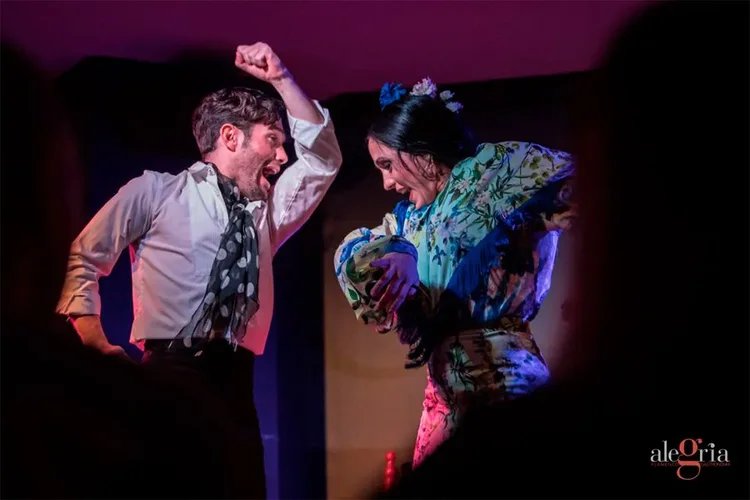 Show Flamenco en el Tablao Alegría en Málaga