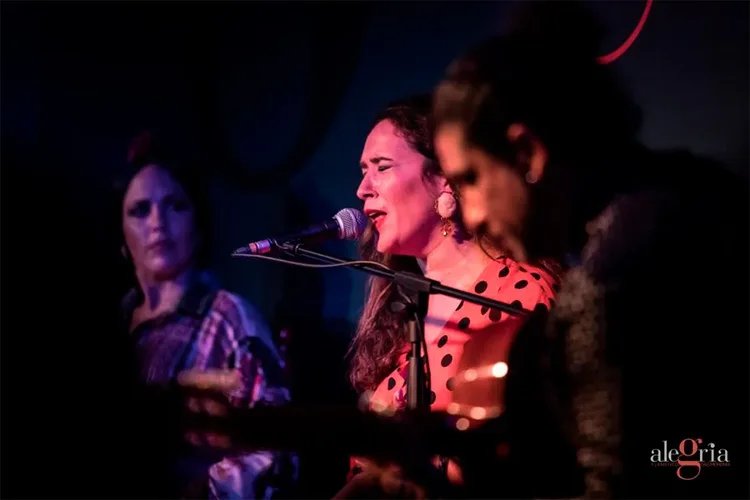 Show Flamenco en el Tablao Alegría en Málaga