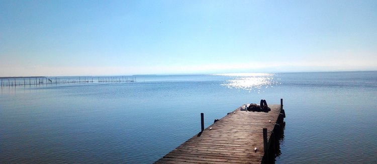 Excursión al Parque Natural de la Albufera desde Valencia