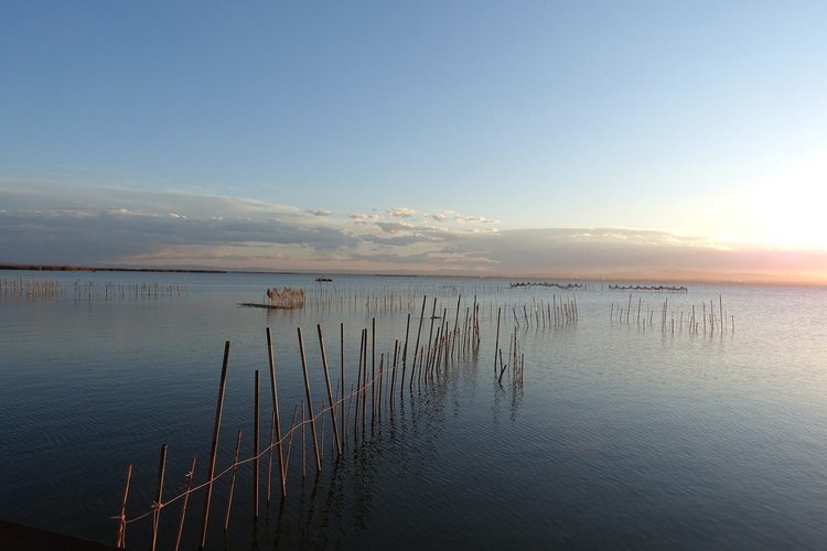 Excursión al Parque Natural de la Albufera desde Valencia