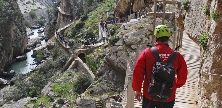 Gibraltar Excursion from Málaga and the Costa del Sol with a Visit to the Rock