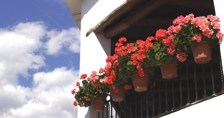 Excursión a Las Alpujarras desde Granada