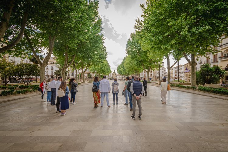 Guided Tour of Baeza with Tickets