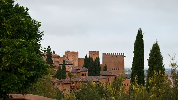Visita Guiada Privada a la Alhambra