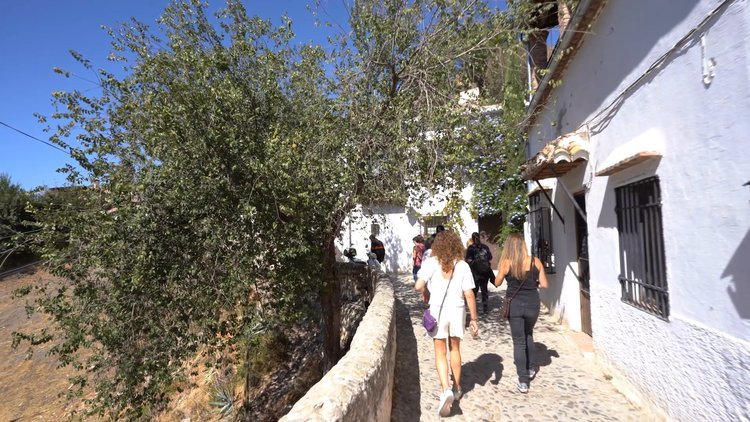 Free Tour Barrios Patrimonio de la Unesco: Albaicín y Sacromonte