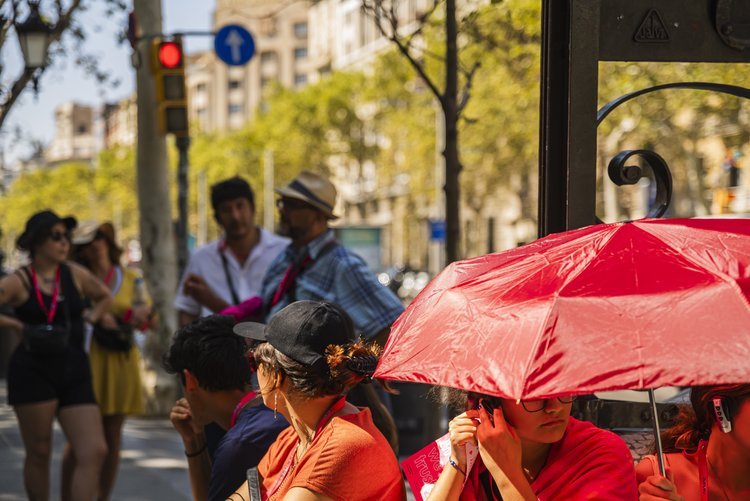 Free Tour Barcelona de Gaudí, Sagrada Familia y el Modernismo