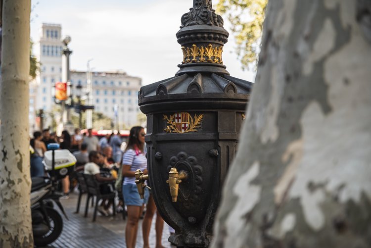Free Tour Casco Antiguo de Barcelona: Barrio Gótico y el Born