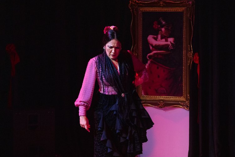 Show Flamenco en Tablao de Granada