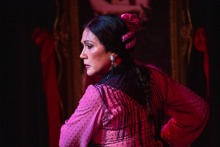 Show Flamenco en Tablao de Granada