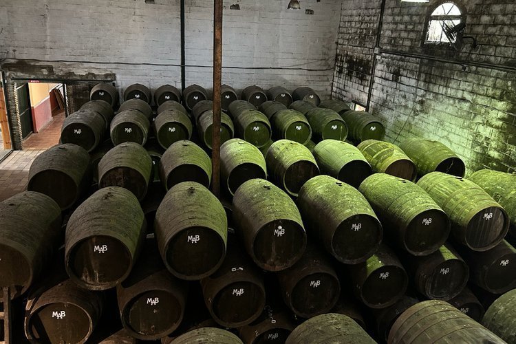 Visita a una bodega + Cata de Vino en Cádiz