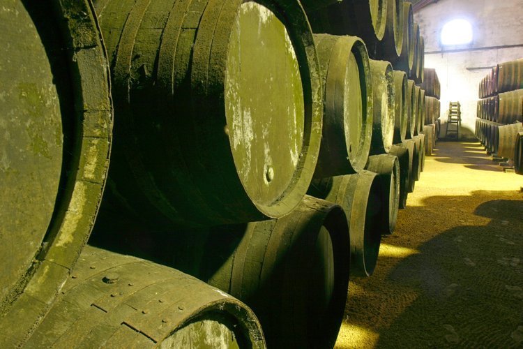 Visita a una bodega + Cata de Vino en Cádiz