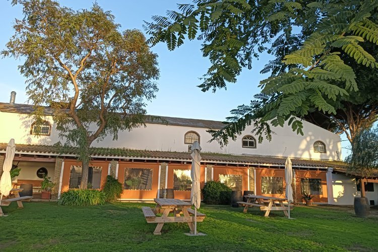 Visita a una bodega + Cata de Vino en Cádiz