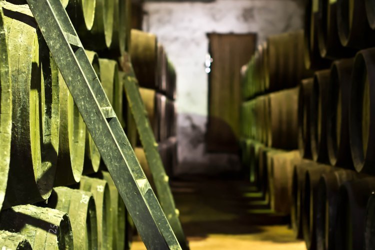 Visita a una bodega + Cata de Vino en Cádiz