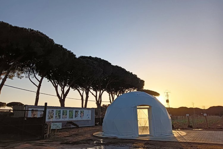 Visita a una bodega + Cata de Vino en Cádiz