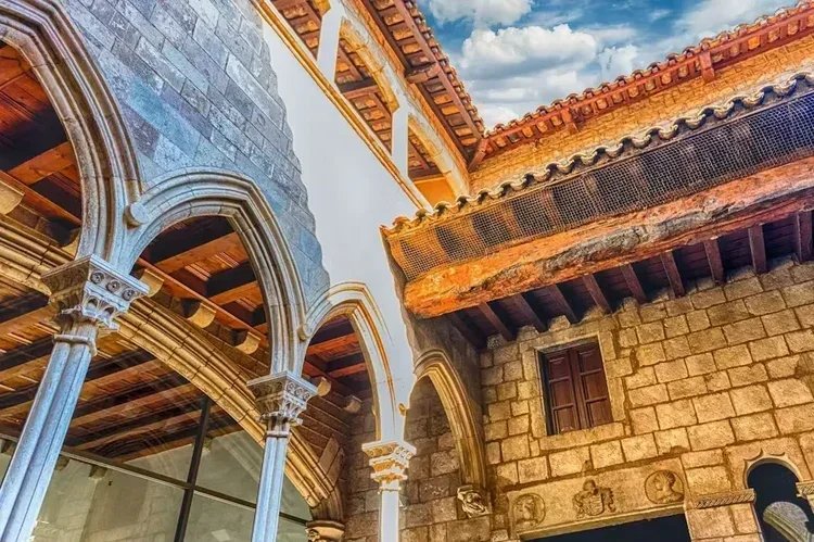 Billet avec Audioguide du Musée Picasso de Barcelone