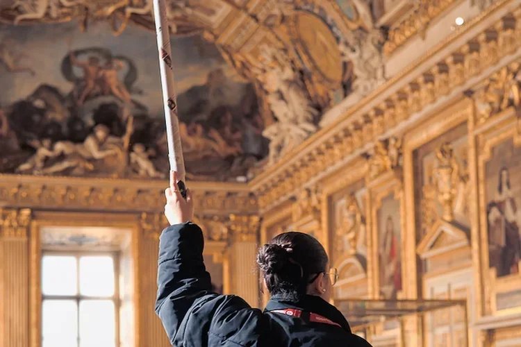 Biglietto per il Museo del Louvre con accesso diretto alla Monna Lisa