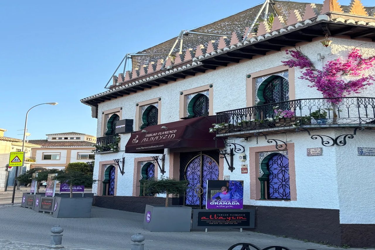 Alhambra + Granada Panoramic Tour