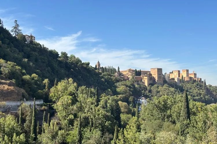 Granada Panoramic Tour