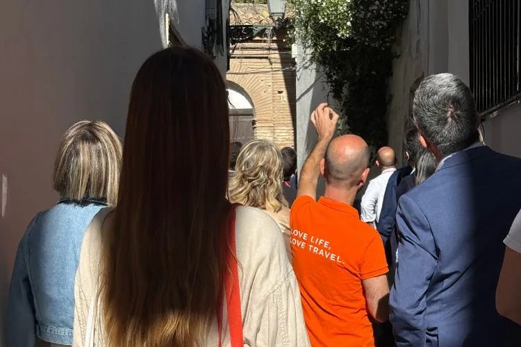 Granada Panoramic Tour