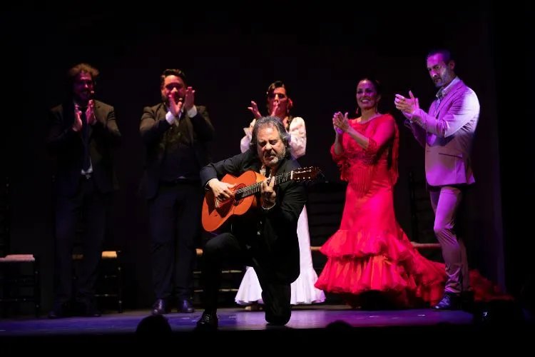Flamenco Show "Sensaciones" at Teatro Flamenco Granada