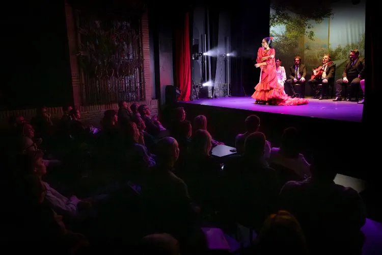 Flamenco Show "Sensaciones" at Teatro Flamenco Granada