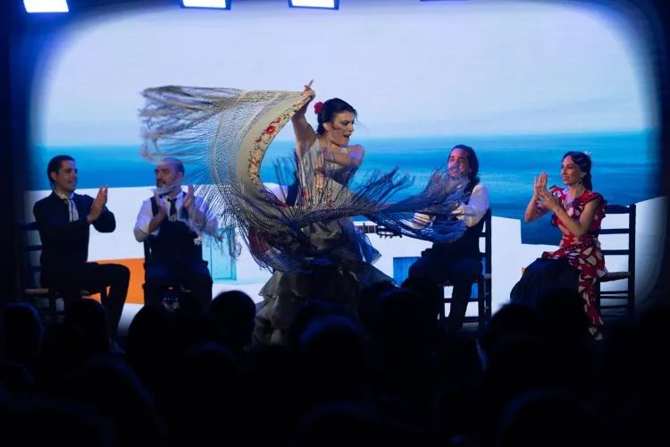 Show Teatro Flamenco en Barcelona: "Inspiración"