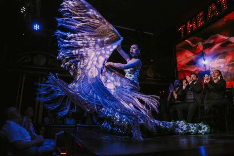 Teatro Flamenco en Málaga: "Esencia"