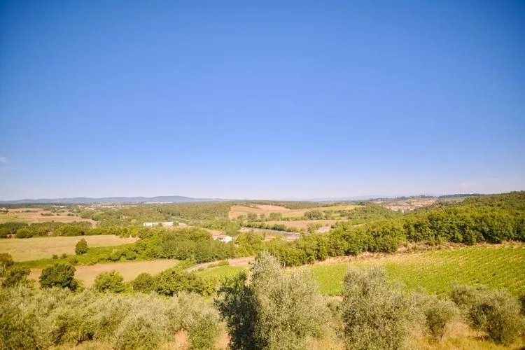 Excursión a San Gimignano, Siena, Monteriggioni y Chianti