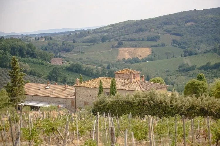 Excursión a San Gimignano, Siena, Monteriggioni y Chianti