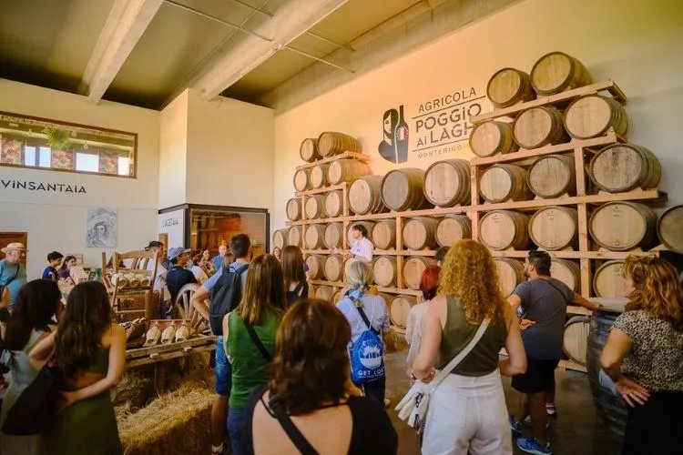 Excursión a San Gimignano, Siena, Monteriggioni y Chianti