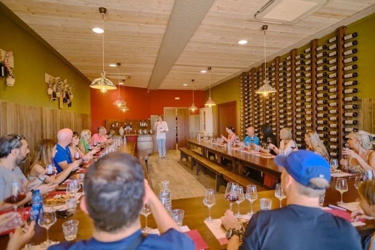 Excursión a San Gimignano, Siena, Monteriggioni y Chianti