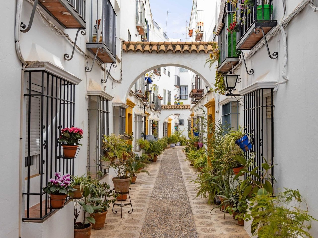 Guided Tour Patios of Cordoba