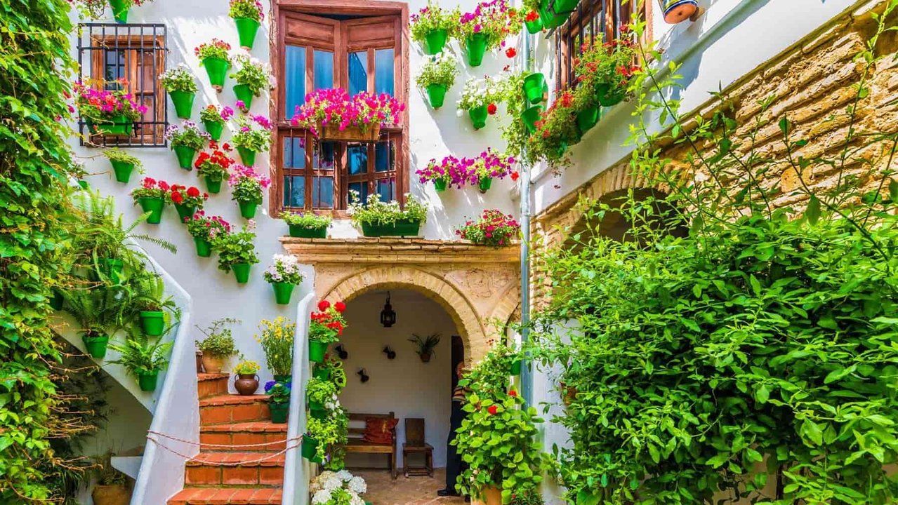 Guided Tour Patios of Cordoba