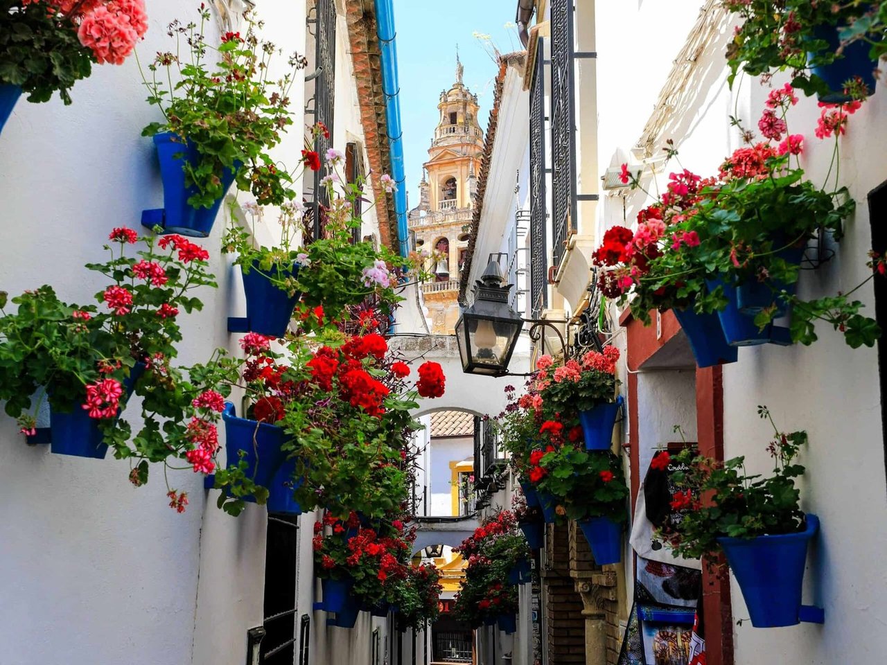 Guided Tour Patios of Cordoba