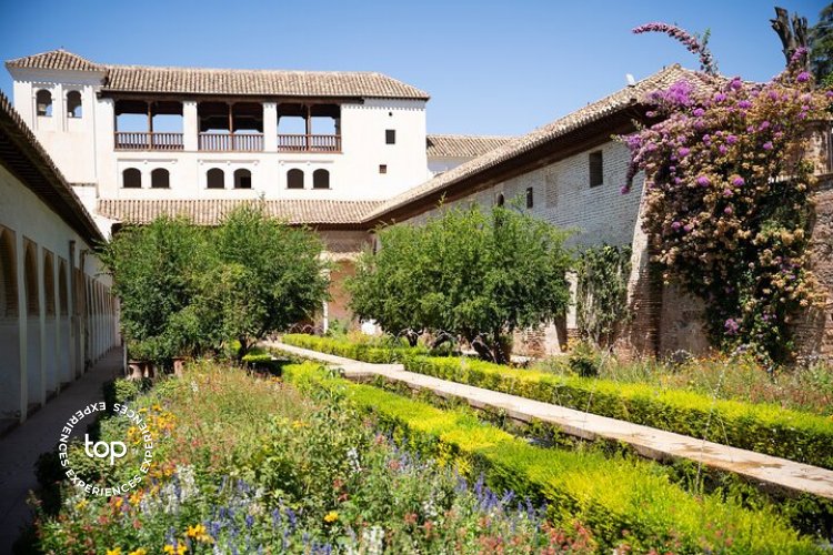 Alhambra Top Experience