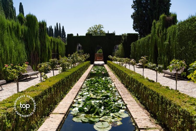 Alhambra Top Experience