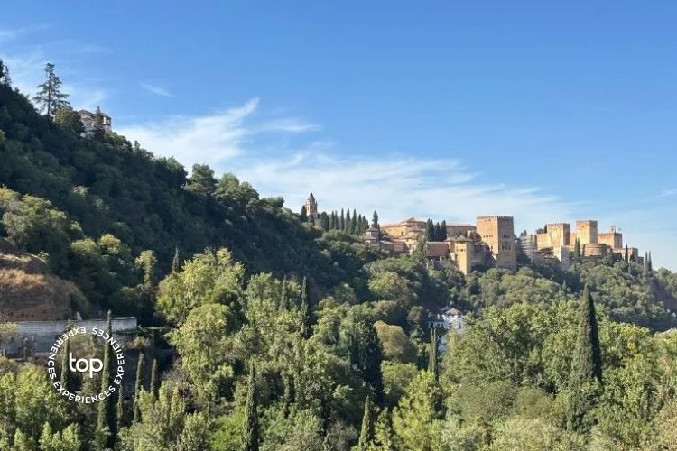 Alhambra Top Experience