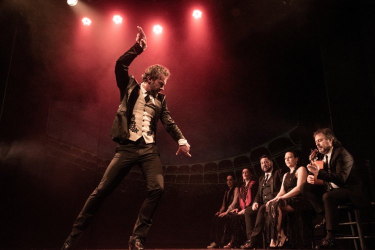 Teatro Flamenco Madrid "Emozioni"