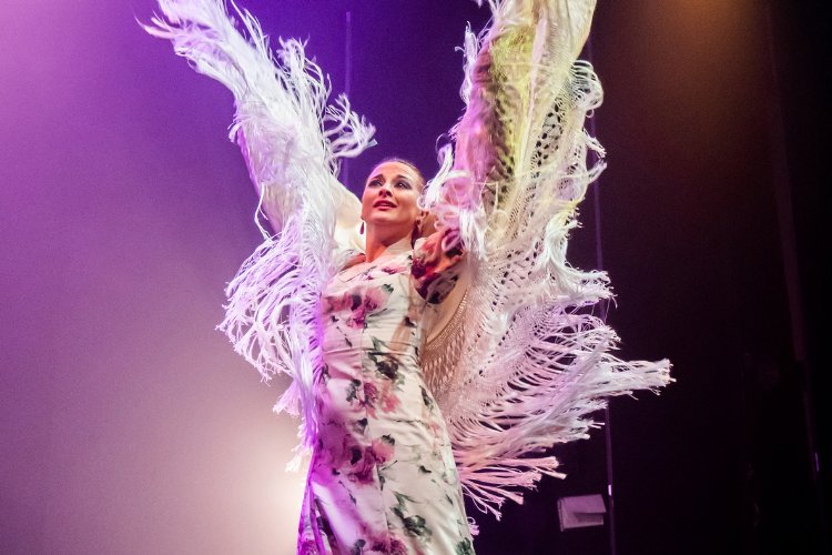 Teatro Flamenco Madrid "Emozioni"