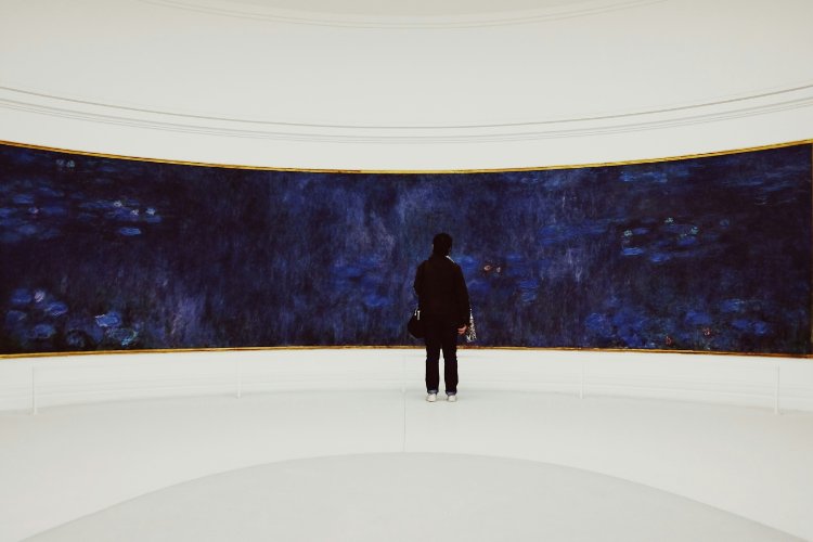 Musée de l'Orangerie Ticket with Audio Guide