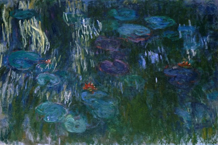 Musée de l'Orangerie Ticket with Audio Guide