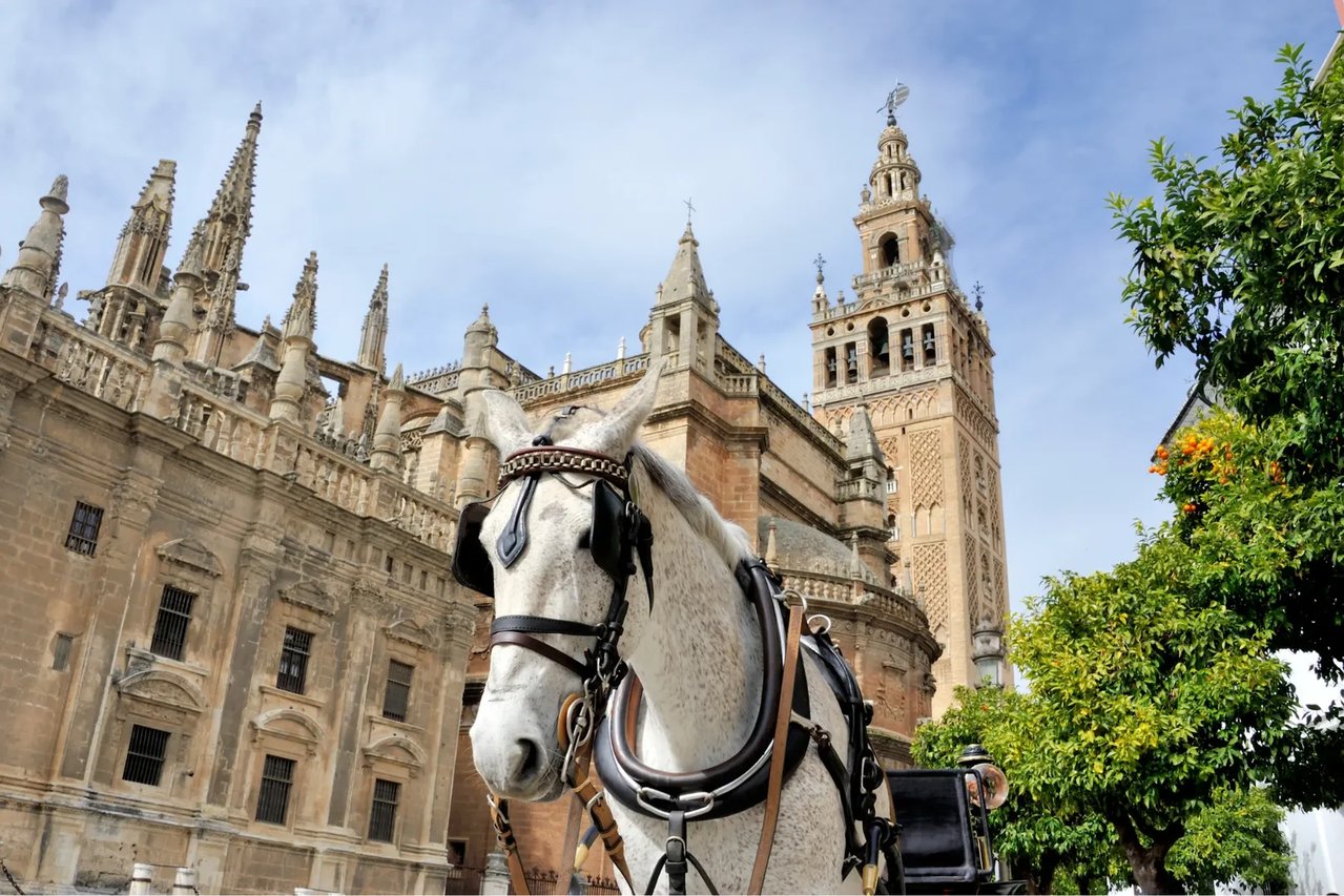 Tour por los Entornos del Real Alcázar, la Catedral de Sevilla y Judería