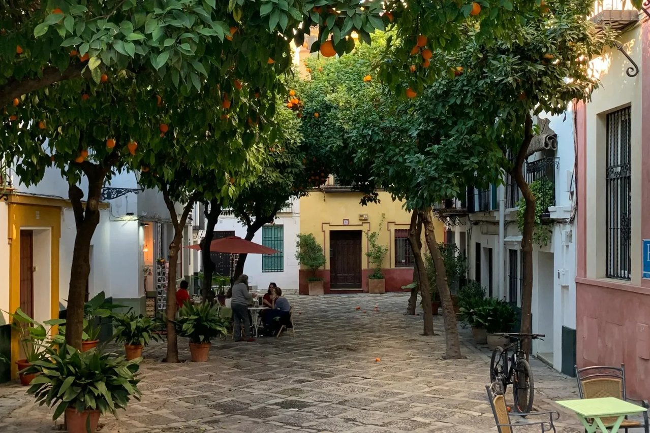 Tour por los Entornos del Real Alcázar, la Catedral de Sevilla y Judería