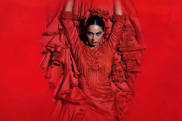 Show flamenco en Teatro Flamenco Madrid "Emociones"